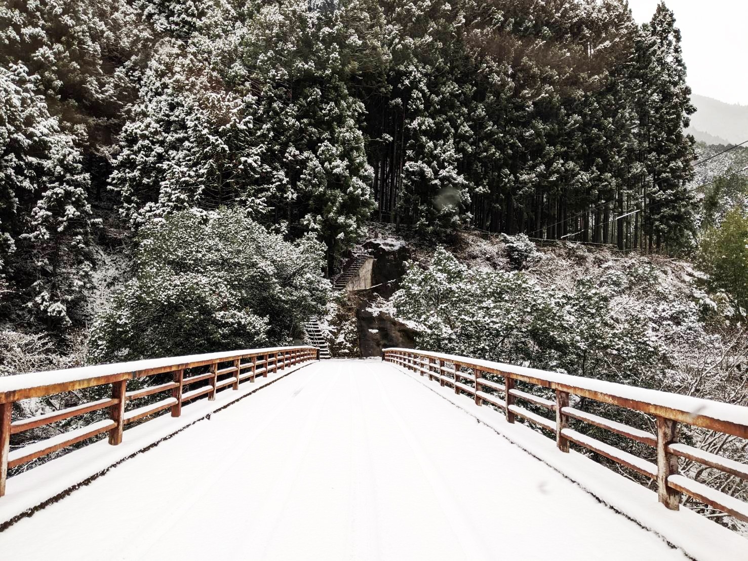 雪景色