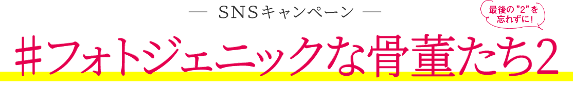 フォトジェニックな骨董たち2