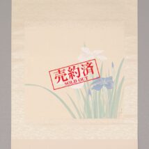 【売約済】掛軸＜星加雪乃＞花菖蒲図（SU057）