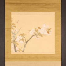 【売約済】掛軸＜小松華影＞桜図（HP1092）
